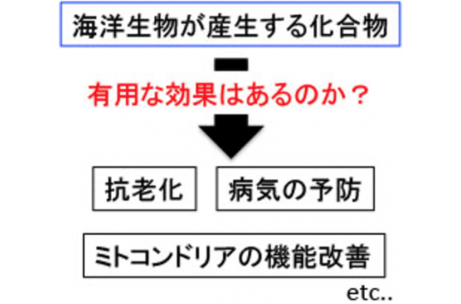 %E3%82%B9%E3%82%AF%E3%83%AA%E3%83%BC%E3%83%B3%E3%82%B7%E3%83%A7%E3%83%83%E3%83%88%202022-04-13%2018.44.11.png