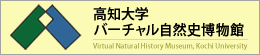 高知大学バーチャル自然博物